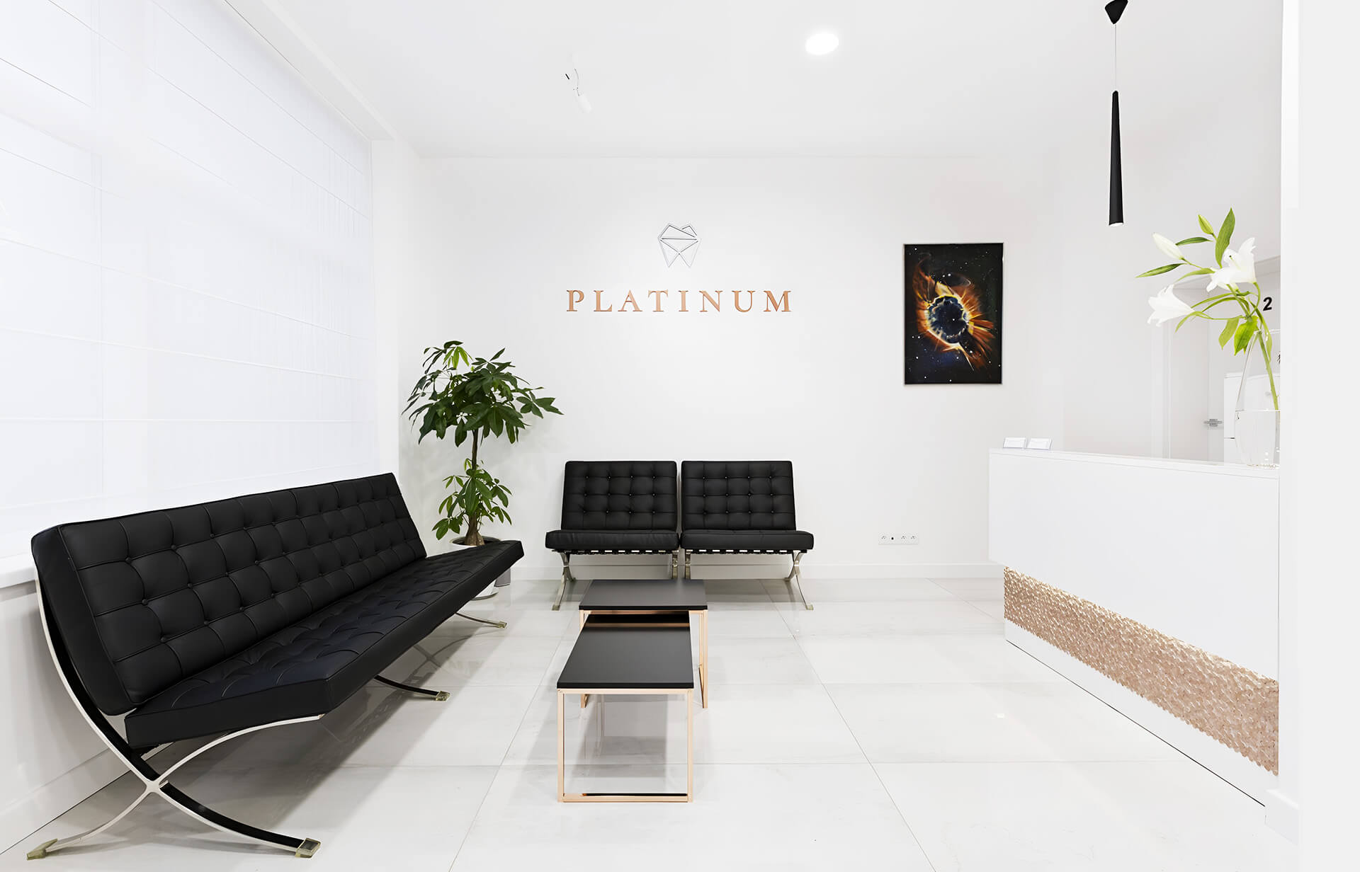 gabinet stomatologiczny w bydgoszczy